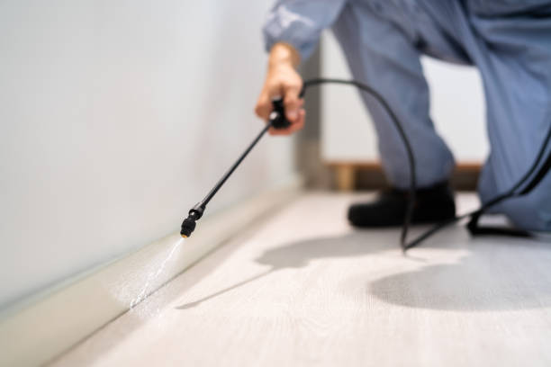 Bed Bug Pre-Treatment Preparation Assessment in Morgantown