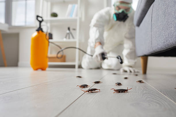 Post-Treatment Bed Bug Interceptor Monitoring in Morgantown