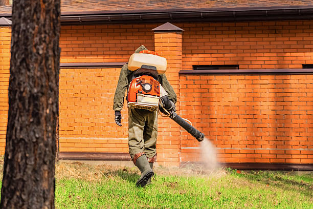 Bed Bug Clearance Verification and Documentation in Morgantown
